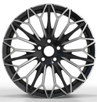 Кованый диск HJ0093 на Toyota, Lexus, Great Wall