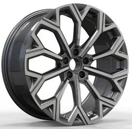 Кованый диск HJ0609 на Audi, Volkswagen